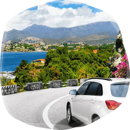 zen driving abroad 2